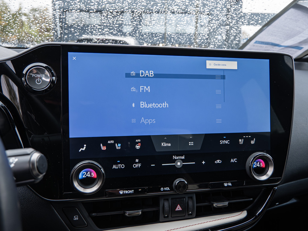 Fahrzeugansicht LEXUS NX 450h + Executive - Bild 6