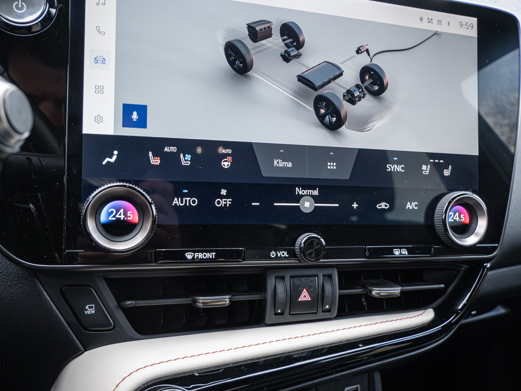 Fahrzeugansicht LEXUS NX 450h + Executive - Bild 9