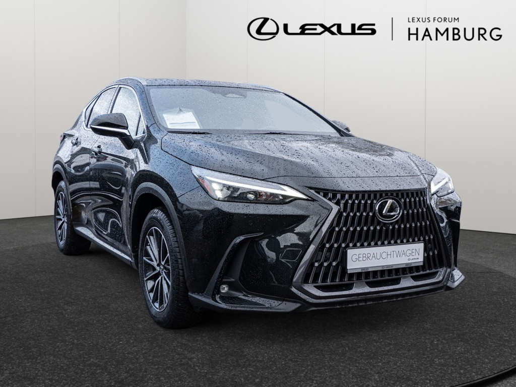 Fahrzeugansicht LEXUS NX 450h + Executive - Bild 23
