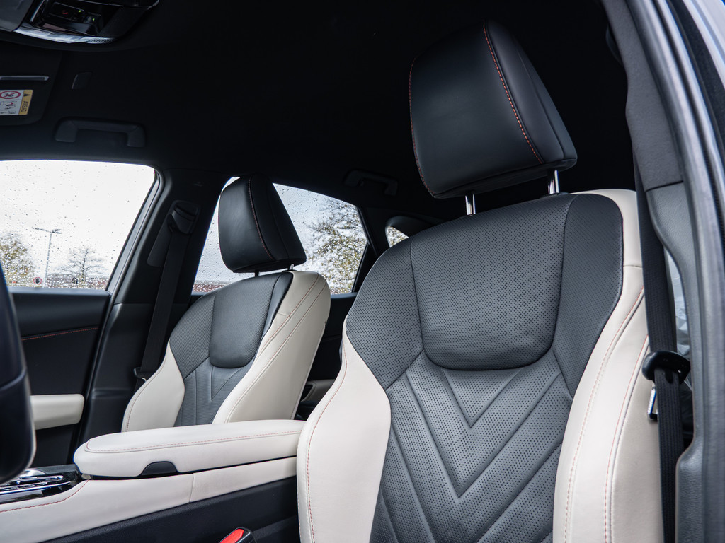 Fahrzeugansicht LEXUS NX 450h + Executive - Bild 28