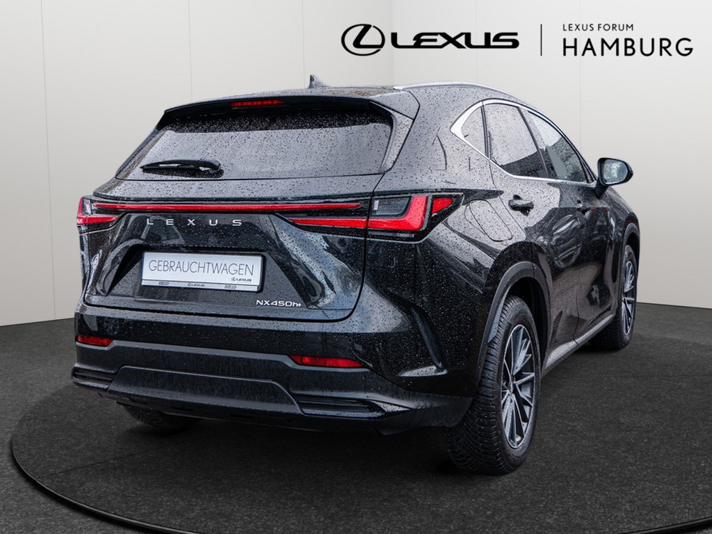 Fahrzeugansicht LEXUS NX 450h + Executive - Bild 31