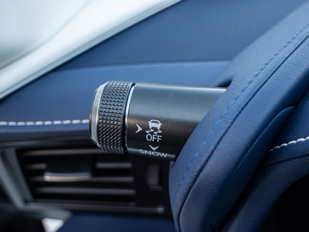 Fahrzeugansicht LEXUS LC 500 Cabrio Bespoke Build - Bild 29