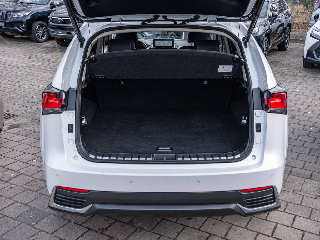 Fahrzeugansicht LEXUS NX 300h Style Edition - Bild 9