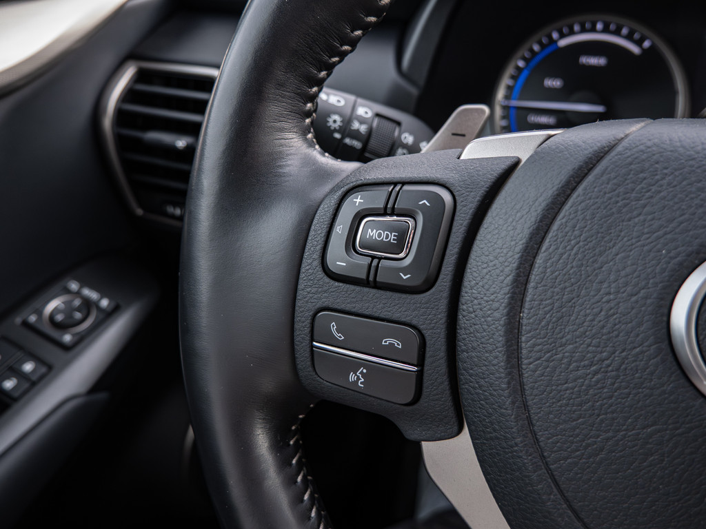 Fahrzeugansicht LEXUS NX 300h Style Edition - Bild 28