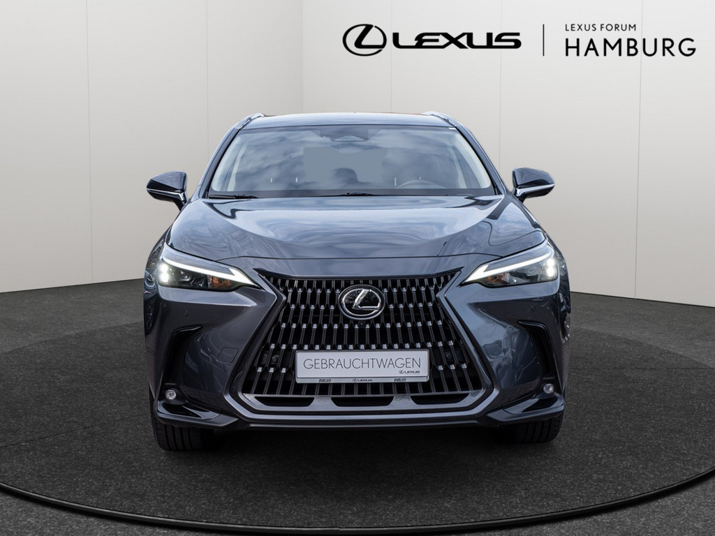 Fahrzeugansicht LEXUS NX 450h + Executive - Bild 12