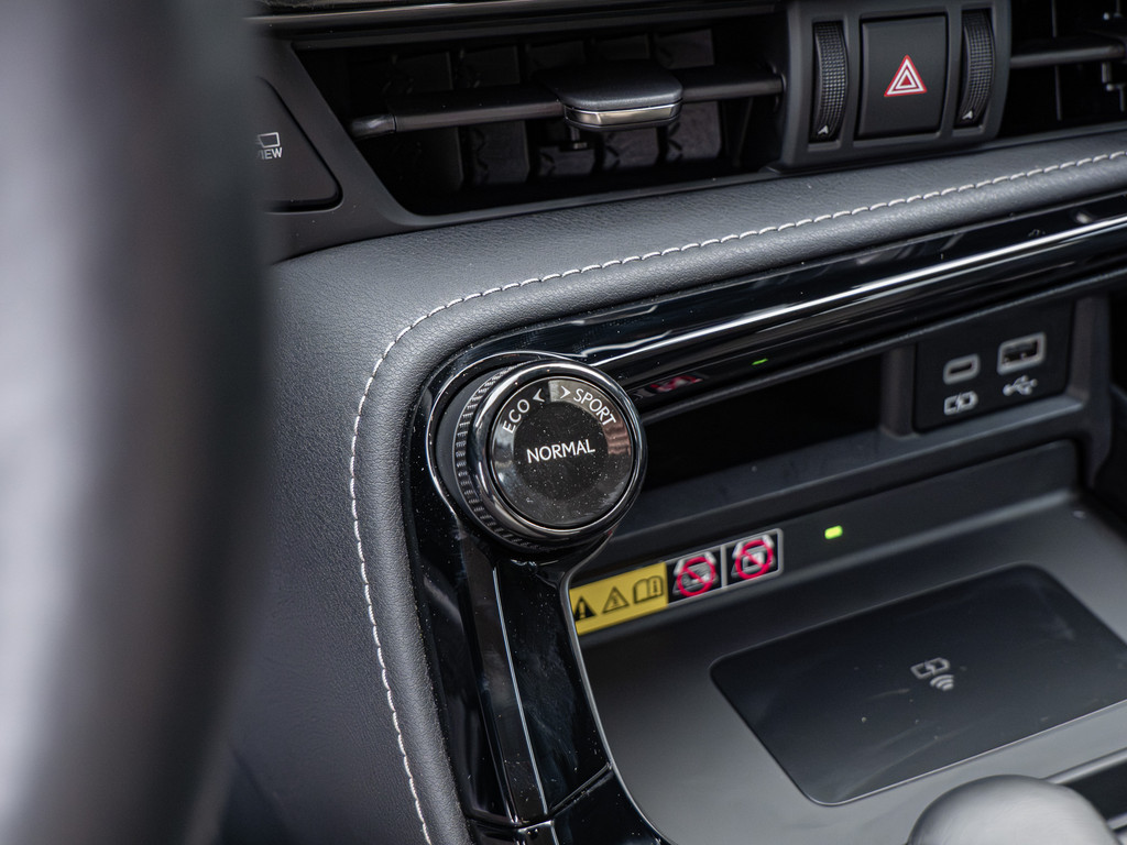 Fahrzeugansicht LEXUS NX 450h + Executive - Bild 19