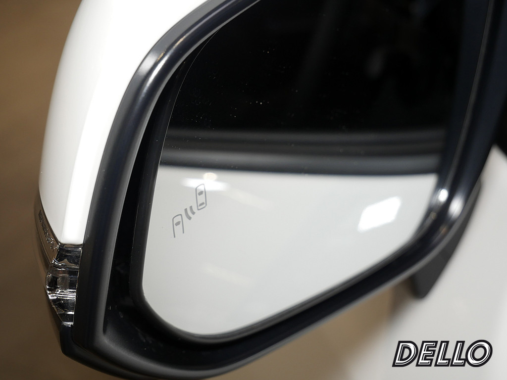 Fahrzeugansicht TOYOTA RAV4 2.5 Plug-in Hybrid 4x4 Teamplayer - Bild 9