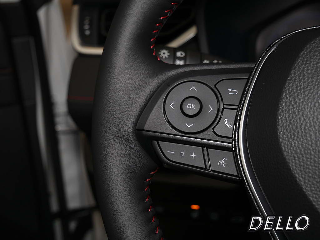 Fahrzeugansicht TOYOTA RAV4 2.5 Plug-in Hybrid 4x4 Teamplayer - Bild 24